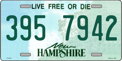 NH license plate 3957942