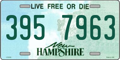 NH license plate 3957963