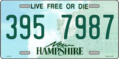NH license plate 3957987