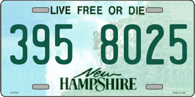 NH license plate 3958025