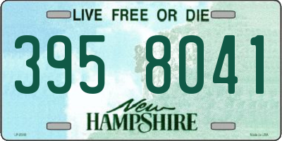 NH license plate 3958041
