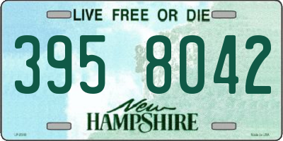 NH license plate 3958042