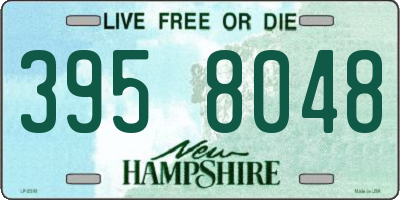 NH license plate 3958048
