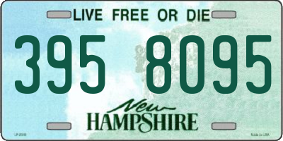 NH license plate 3958095