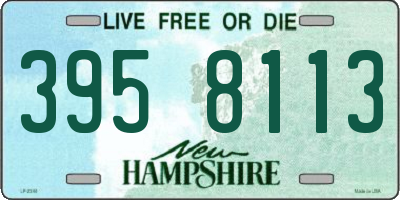 NH license plate 3958113