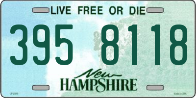 NH license plate 3958118