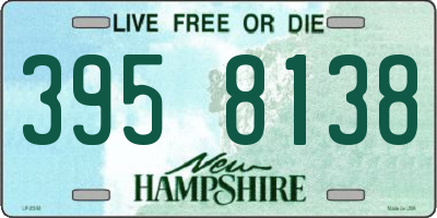 NH license plate 3958138