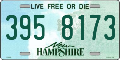 NH license plate 3958173