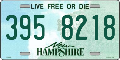NH license plate 3958218