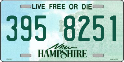 NH license plate 3958251