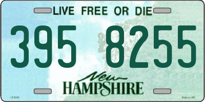 NH license plate 3958255