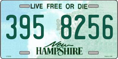 NH license plate 3958256