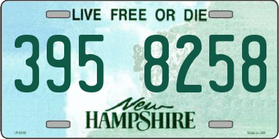 NH license plate 3958258
