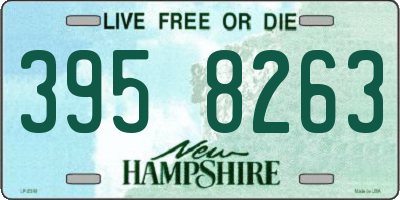 NH license plate 3958263