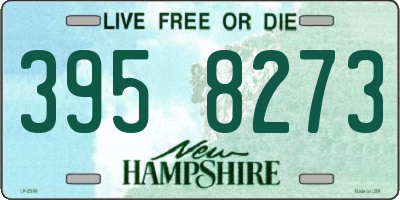 NH license plate 3958273