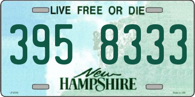 NH license plate 3958333