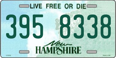 NH license plate 3958338
