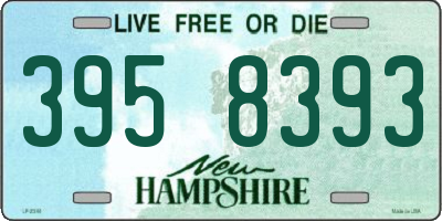 NH license plate 3958393
