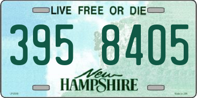 NH license plate 3958405