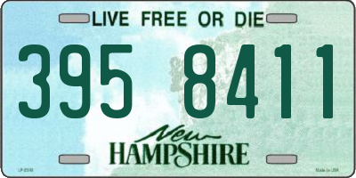 NH license plate 3958411