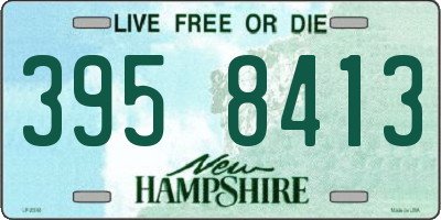 NH license plate 3958413