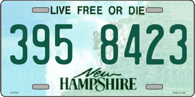 NH license plate 3958423