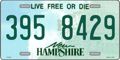 NH license plate 3958429