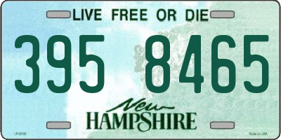 NH license plate 3958465