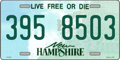 NH license plate 3958503