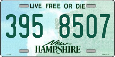 NH license plate 3958507