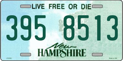 NH license plate 3958513