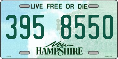NH license plate 3958550