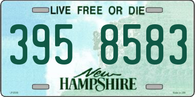 NH license plate 3958583