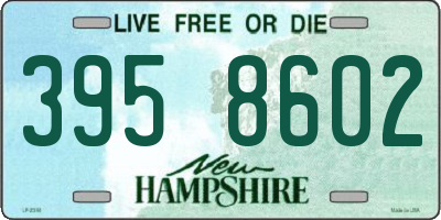 NH license plate 3958602