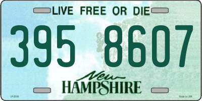 NH license plate 3958607