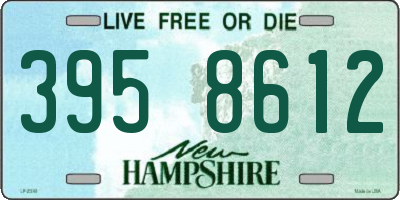 NH license plate 3958612