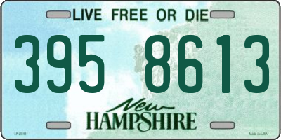 NH license plate 3958613