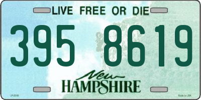 NH license plate 3958619
