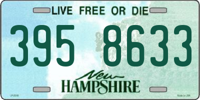 NH license plate 3958633