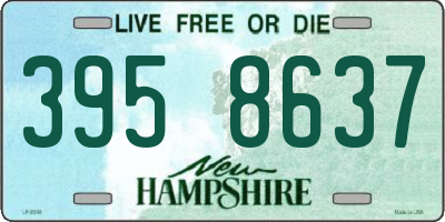 NH license plate 3958637