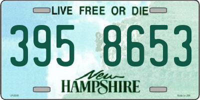 NH license plate 3958653