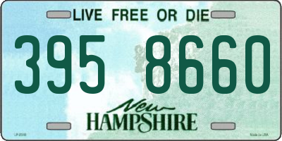 NH license plate 3958660