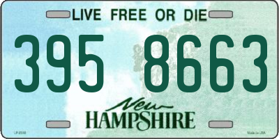 NH license plate 3958663