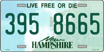 NH license plate 3958665