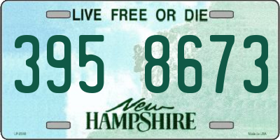 NH license plate 3958673