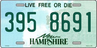 NH license plate 3958691