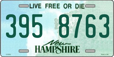 NH license plate 3958763