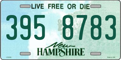 NH license plate 3958783