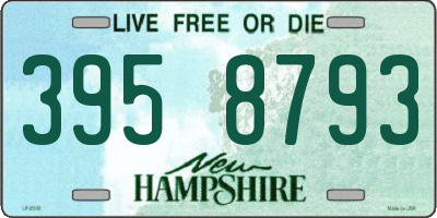 NH license plate 3958793