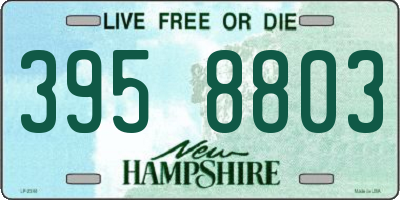NH license plate 3958803
